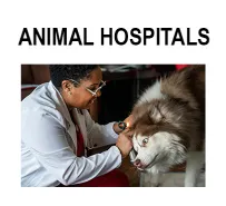 		animal hospitals